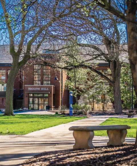 Bench overlooking green grass across from Higgins Hall.