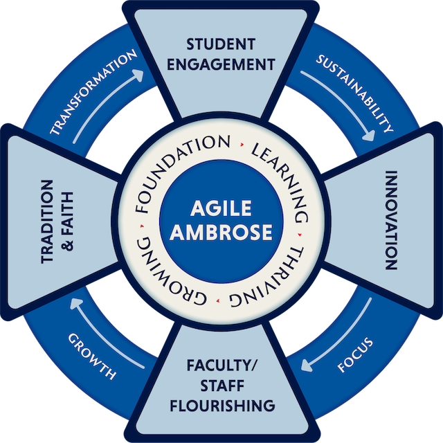 Graphic representing elements of strategic plan, including pillars, process, and areas of focus.