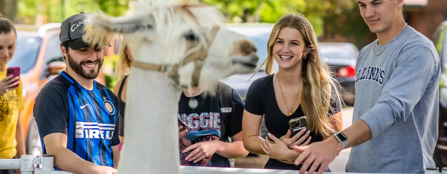 Students petting a llama on campus