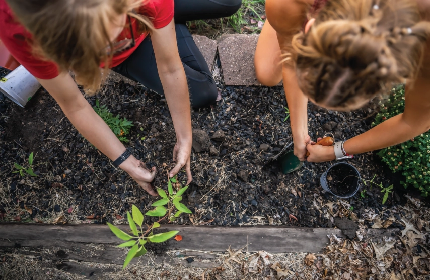 Two people gardening outside a campus house.