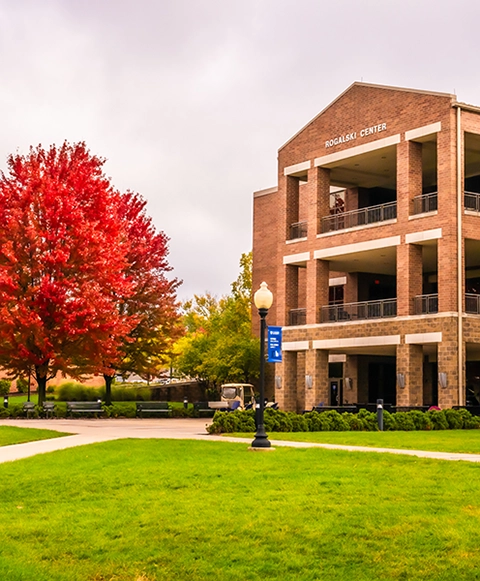 A red tree nexxt to a brick building that says 